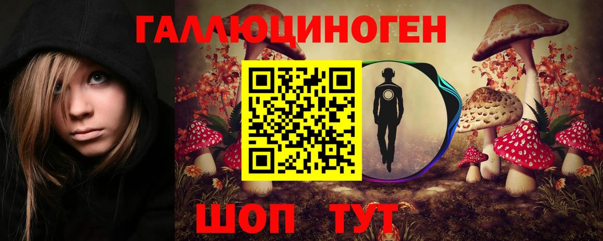 Псилоцибиновые грибы MAGIC MUSHROOMS  купить  цена  Вязьма  Псилоцибиновые грибы Magic Shrooms  Вход с VPN 